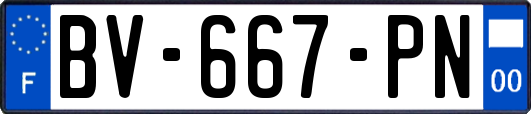 BV-667-PN