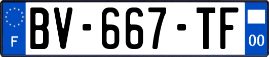 BV-667-TF