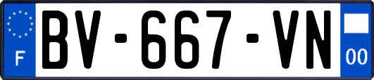 BV-667-VN