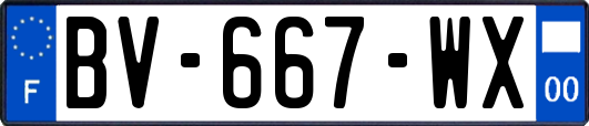 BV-667-WX