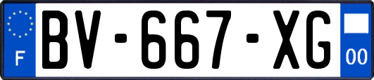 BV-667-XG