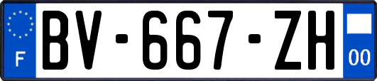 BV-667-ZH