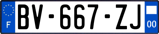 BV-667-ZJ