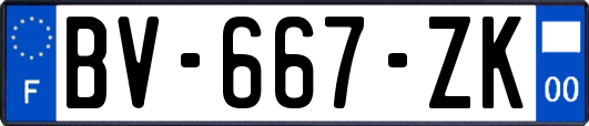 BV-667-ZK