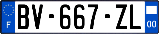 BV-667-ZL