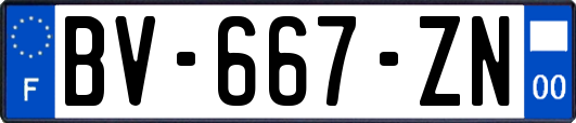 BV-667-ZN