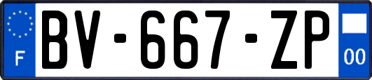 BV-667-ZP