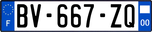 BV-667-ZQ