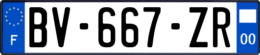 BV-667-ZR