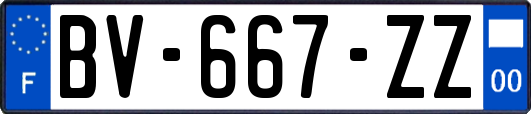 BV-667-ZZ