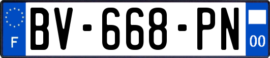 BV-668-PN