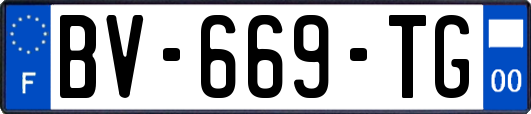 BV-669-TG