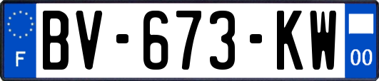 BV-673-KW
