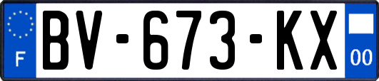 BV-673-KX
