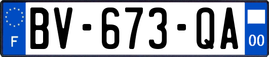 BV-673-QA