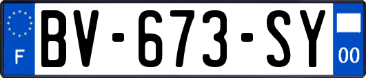 BV-673-SY