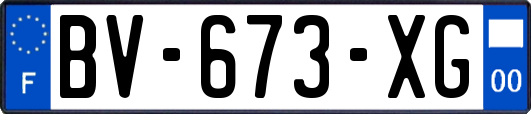 BV-673-XG
