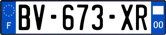 BV-673-XR