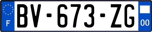 BV-673-ZG