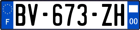 BV-673-ZH