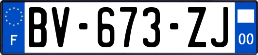 BV-673-ZJ