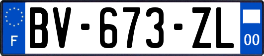 BV-673-ZL