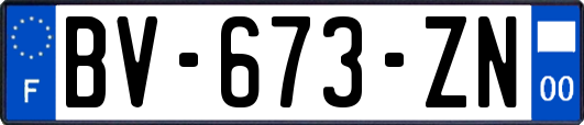 BV-673-ZN