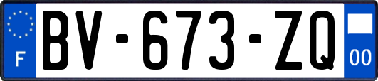 BV-673-ZQ