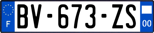 BV-673-ZS