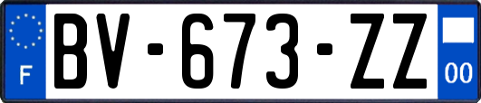 BV-673-ZZ