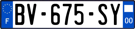 BV-675-SY