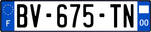 BV-675-TN