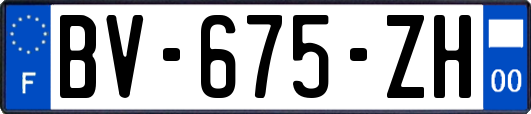 BV-675-ZH