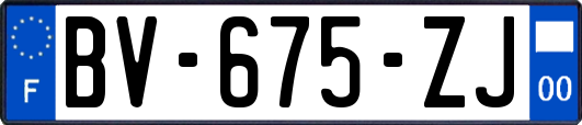 BV-675-ZJ