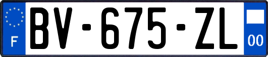 BV-675-ZL