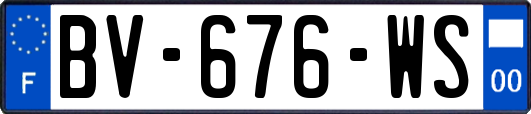 BV-676-WS