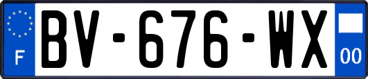 BV-676-WX