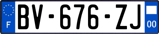 BV-676-ZJ