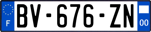 BV-676-ZN