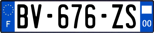 BV-676-ZS