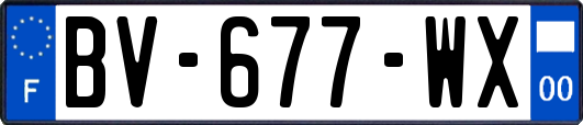 BV-677-WX