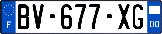 BV-677-XG