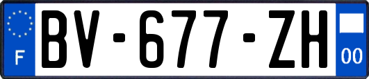 BV-677-ZH