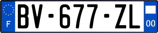 BV-677-ZL