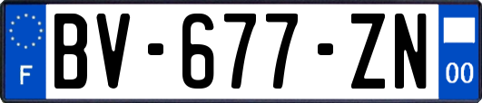 BV-677-ZN