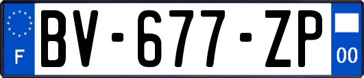 BV-677-ZP