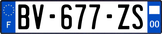 BV-677-ZS