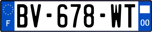 BV-678-WT