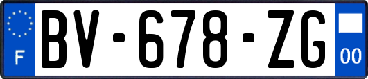 BV-678-ZG