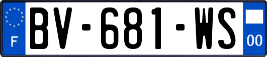 BV-681-WS